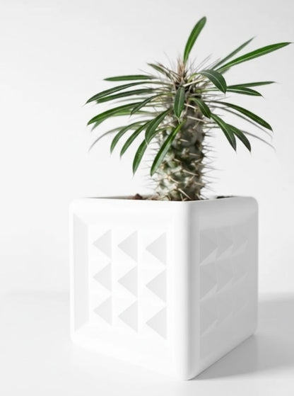 3D Pflanztopf „Novo“ – Geometrie in kubischer Klarheit