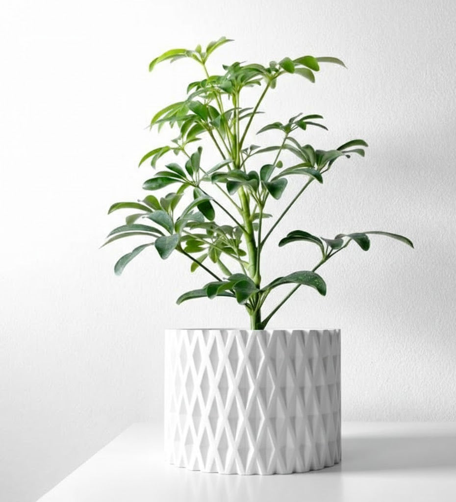 Grivan Pflanztopf – Geometrie trifft Eleganz