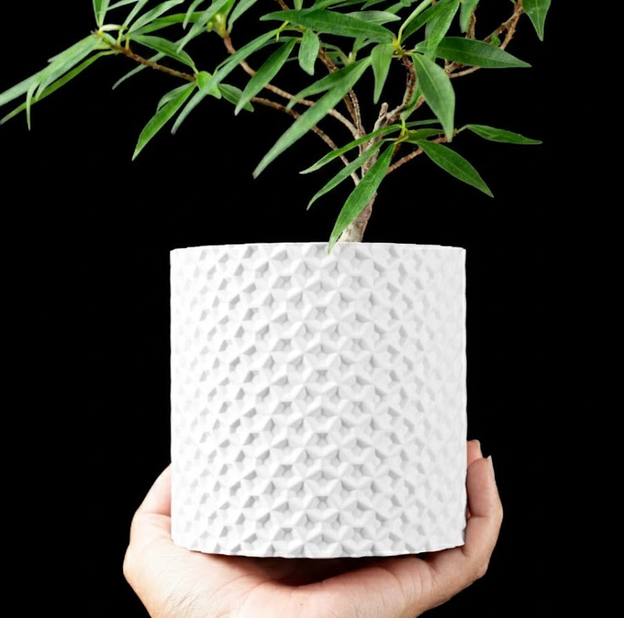 Ordan Planter Pot 3D– Geometrie trifft Natur