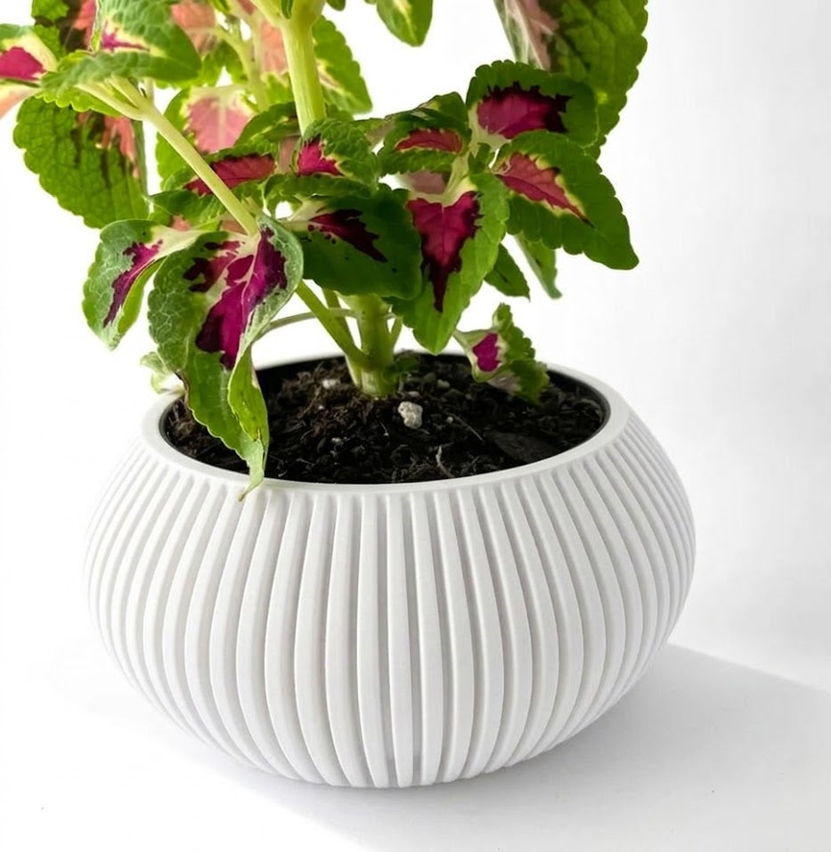Torme Pflanztopf – Organisch geformter 3D-Topf mit eleganter Rillenstruktur