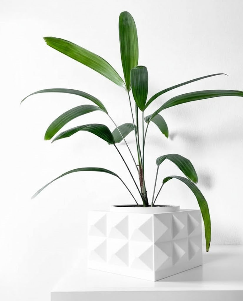 Eldan Pflanztopf – Geometrie mit Charakter