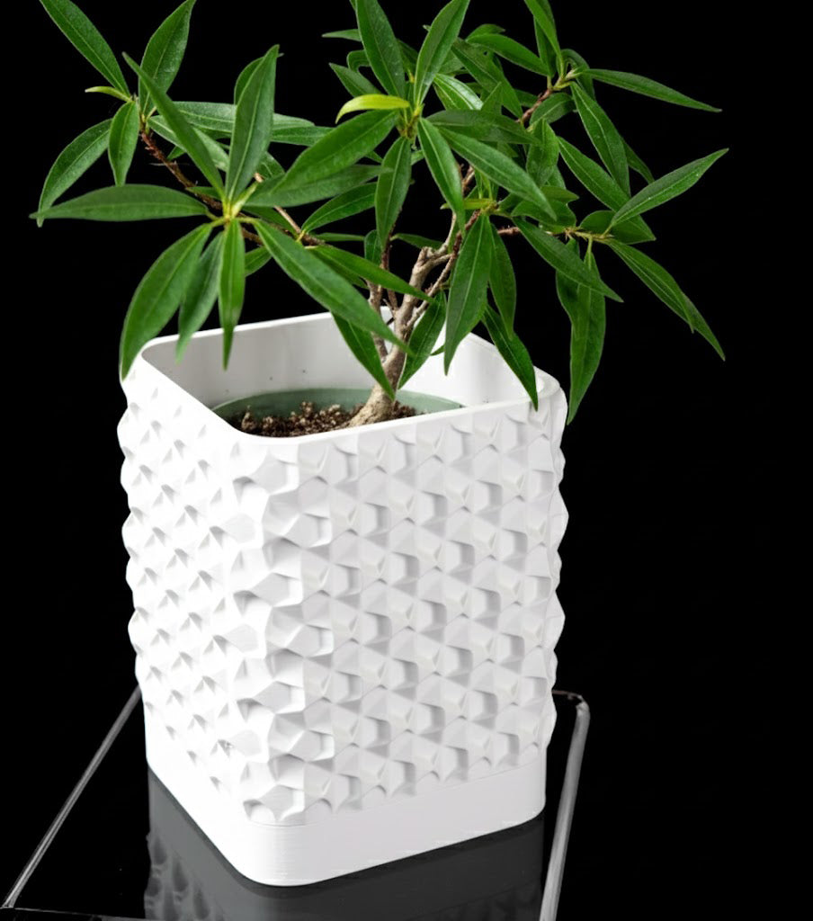 Rovi Square Planter Pot – Geometrie trifft Natur