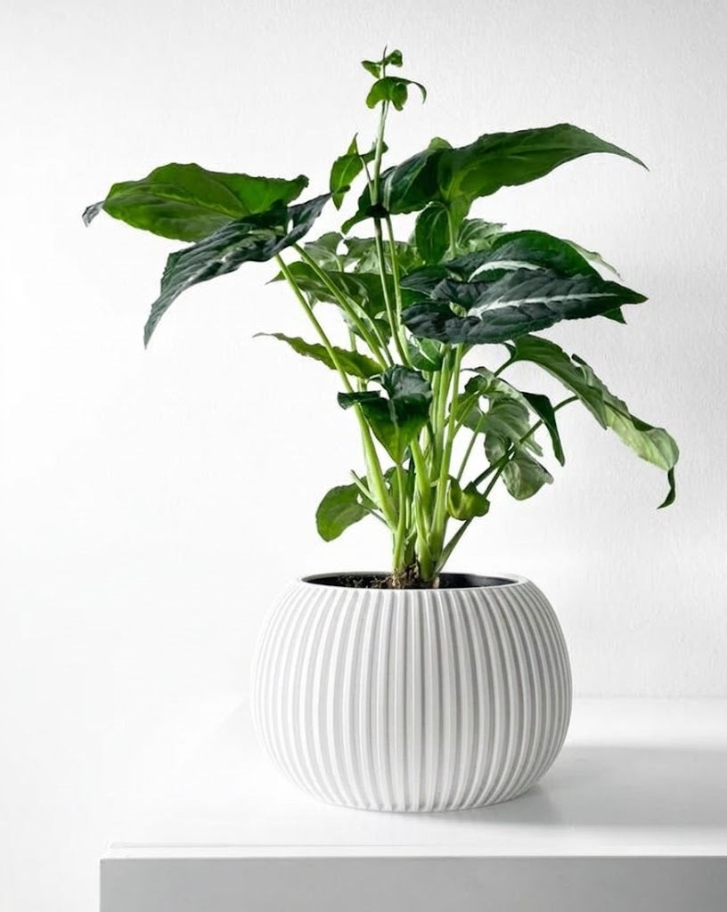 Surno Pflanztopf – Klassik neu definiert