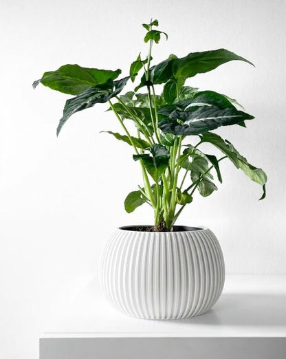 Surno Pflanztopf – Klassik neu definiert