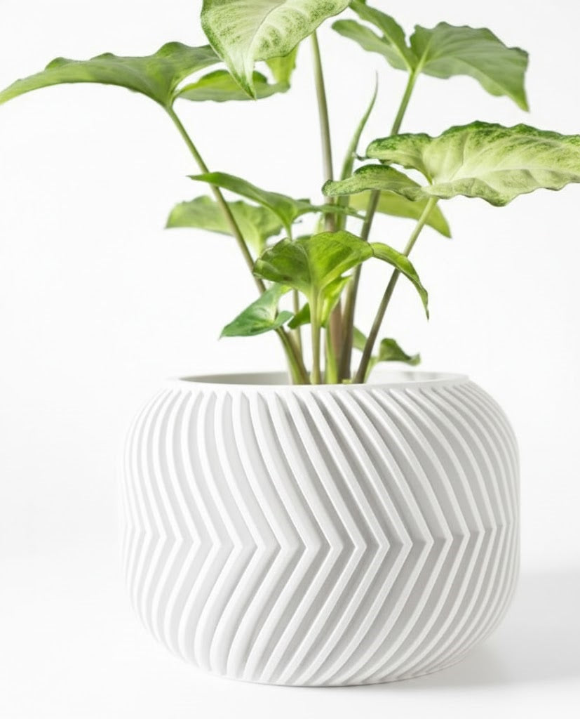 Der Ervon – 3D-Pflanztopf mit V-Rippen-Dynamik