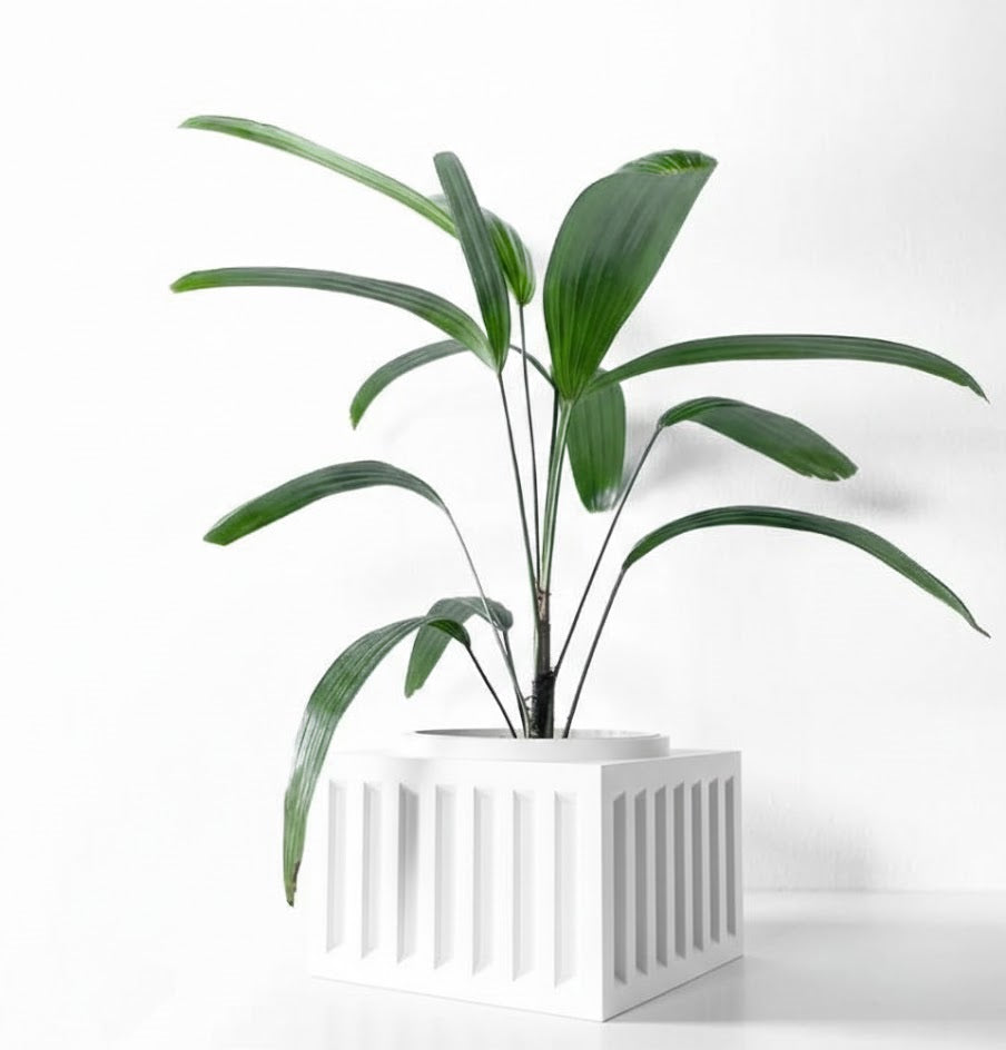 Larix Pflanztopf – Architektonisches Statement mit Kante