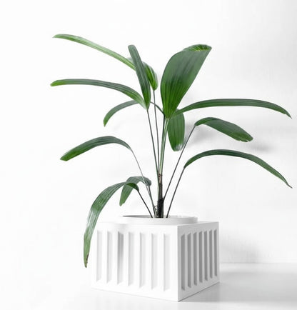 Larix Pflanztopf – Architektonisches Statement mit Kante
