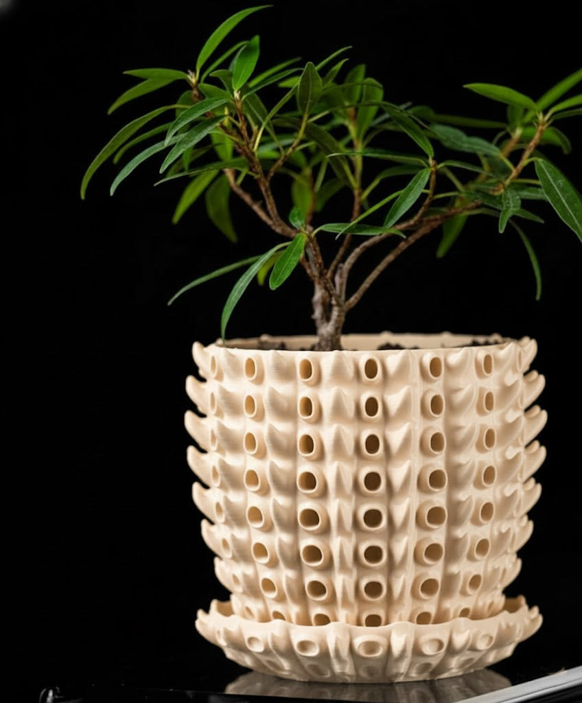 Barnacle – Der 3D-Pflanztopf mit organischer Tiefenstruktur
