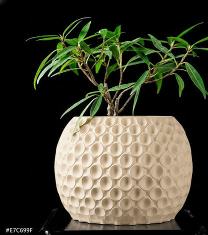 Bubble Planter Pot – Der verspielte 3D-Pflanztopf mit Struktur