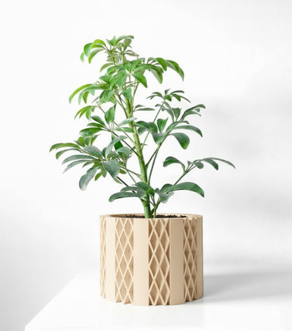 Arven Pflanztopf – Geometrie in Perfektion