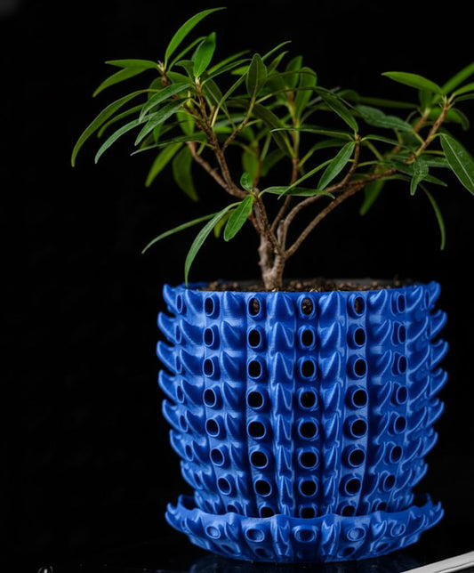 Barnacle – Der 3D-Pflanztopf mit organischer Tiefenstruktur