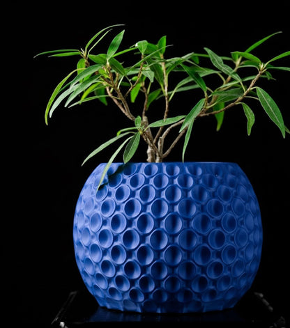 Bubble Planter Pot – Der verspielte 3D-Pflanztopf mit Struktur