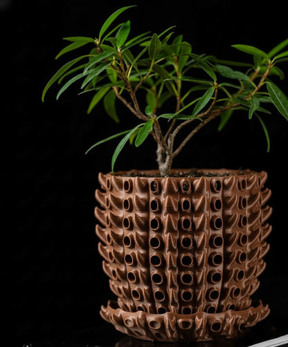 Barnacle – Der 3D-Pflanztopf mit organischer Tiefenstruktur