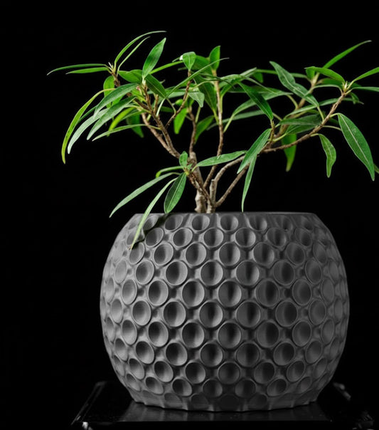 Bubble Planter Pot – Der verspielte 3D-Pflanztopf mit Struktur