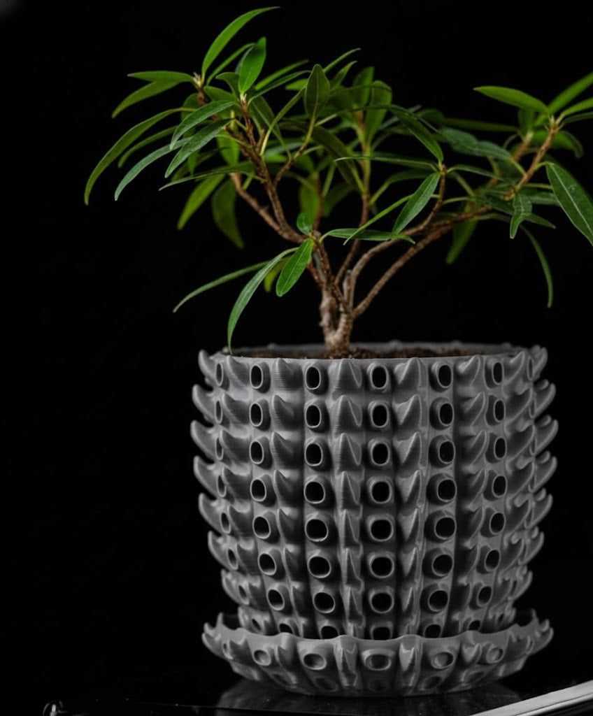 Barnacle – Der 3D-Pflanztopf mit organischer Tiefenstruktur