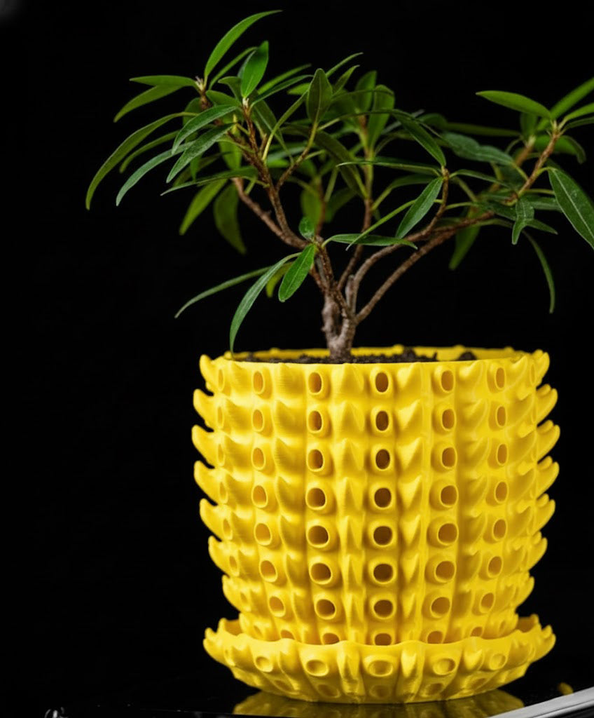 Barnacle – Der 3D-Pflanztopf mit organischer Tiefenstruktur