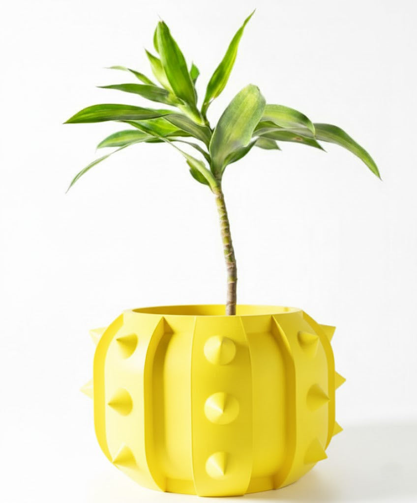 Alver – Der kantige 3D Charaktertopf