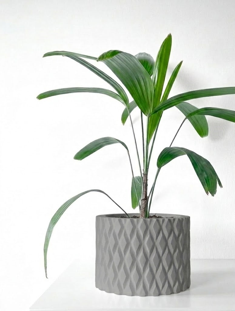 Pexil Pflanztopf – Grafische Eleganz in Perfektion