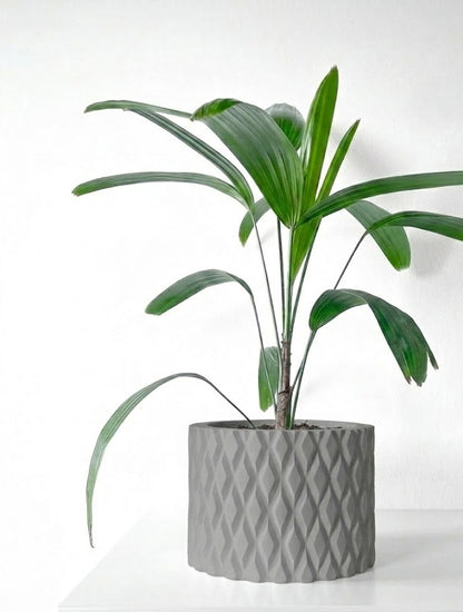 Pexil Pflanztopf – Grafische Eleganz in Perfektion