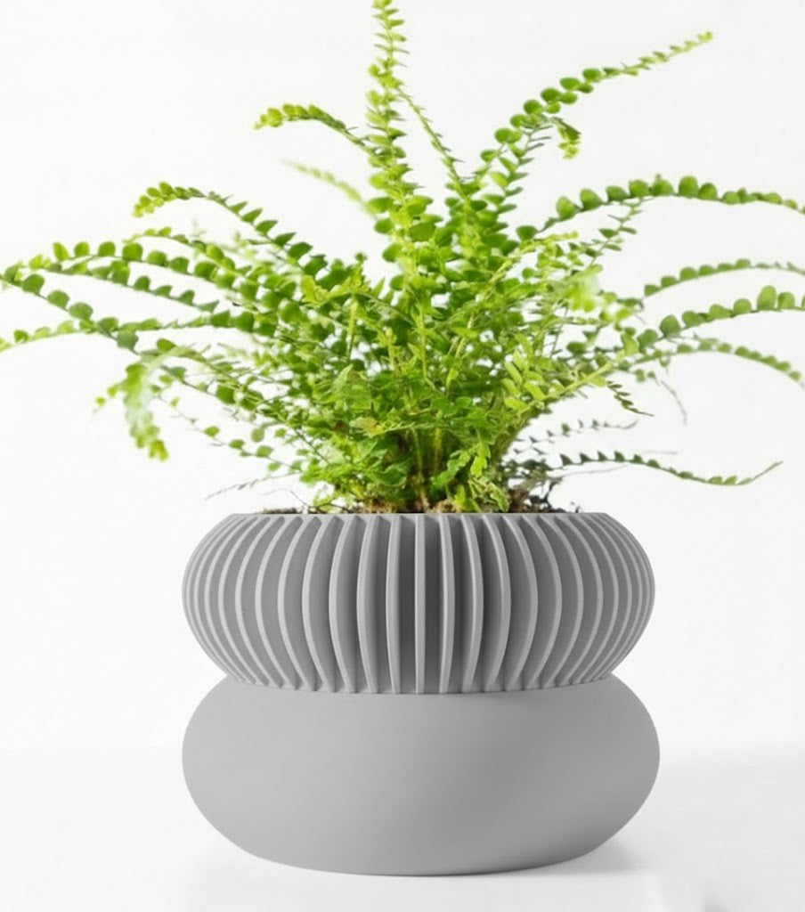 Der Elomi – 3D-Pflanztopf mit dynamischer Zweiteilung und skulpturaler Eleganz