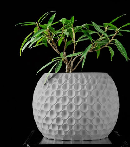 Bubble Planter Pot – Der verspielte 3D-Pflanztopf mit Struktur