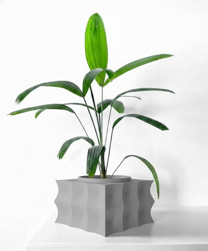 Averth Pflanztopf – Kubische Wellen mit Charakter