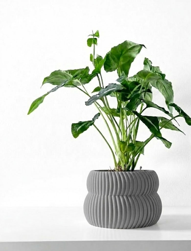 Quarn Pflanztopf – Weiche Konturen, starke Präsenz