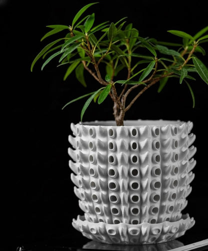 Barnacle – Der 3D-Pflanztopf mit organischer Tiefenstruktur