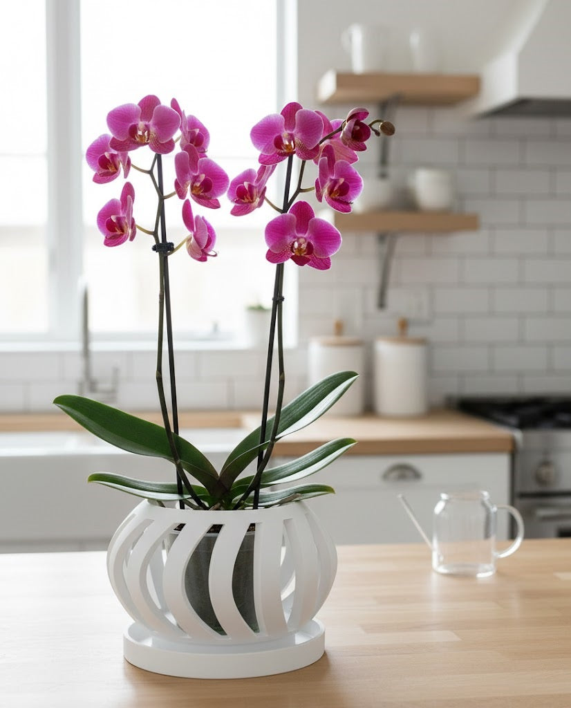 Oryx Pflanztopf – Eleganter 3D-Orchideentopf mit geschwungener Belüftungsstruktur und Abtropfschale