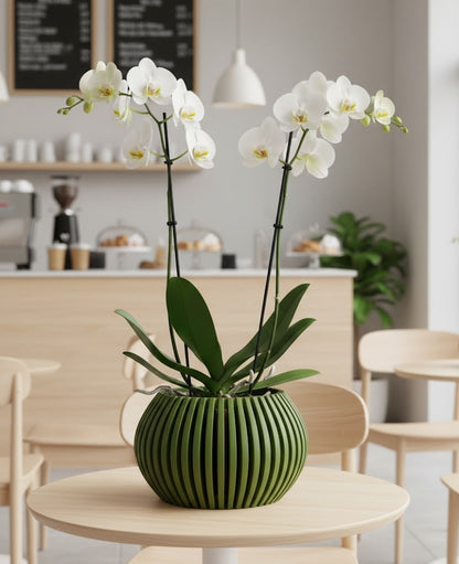 Rakor 3D Orchideen-Pflanztopf – Elegante Linien für gesunde Wurzeln