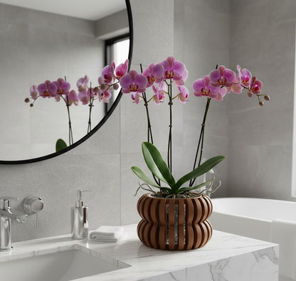 Oli Pflanztopf – Verspielter 3D-Orchideentopf mit sanft geschwungener Lamellenform und Belüftungssystem