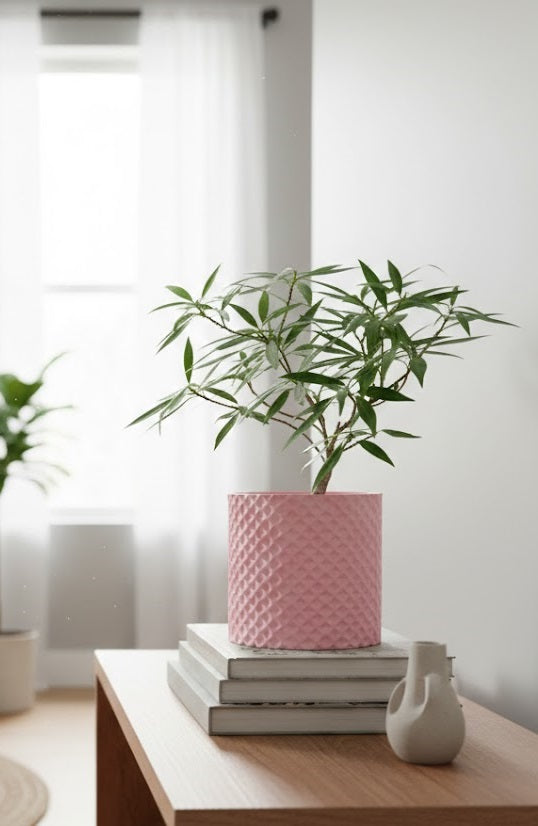 Ordan Planter Pot 3D– Geometrie trifft Natur