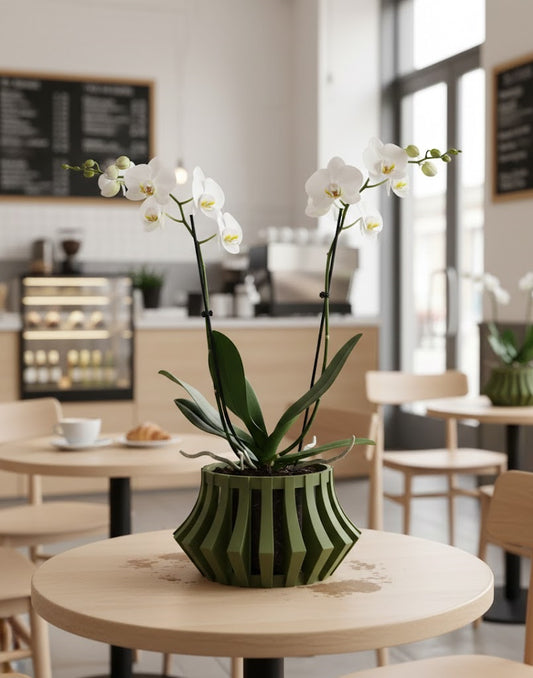 Veria Pflanztopf – Futuristischer 3D-Orchideentopf mit geschwungener Belüftungsstruktur