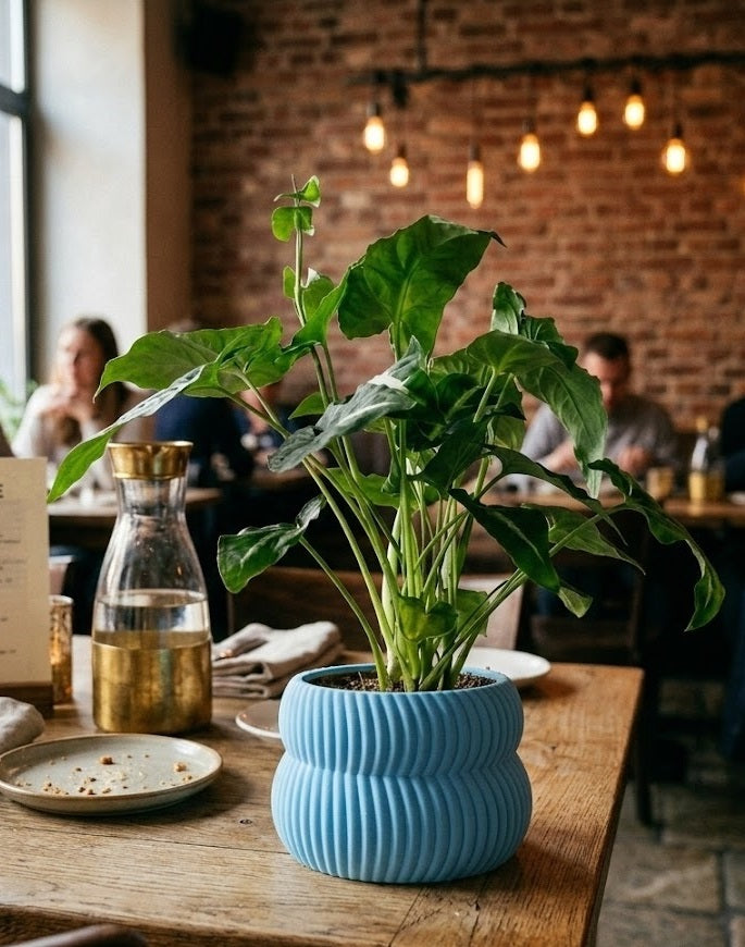 Quarn Pflanztopf – Weiche Konturen, starke Präsenz