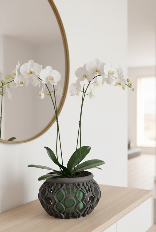 Lyren 3D Orchideen-Pflanztopf – Kunstvolle Geometrie für stilvolle Pflanzenpräsentation