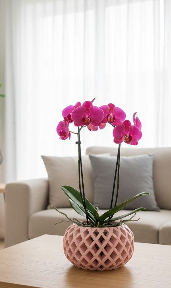 3D Nire Pflanztopf – Stilvolles Gitterdesign für gesunde Orchideen