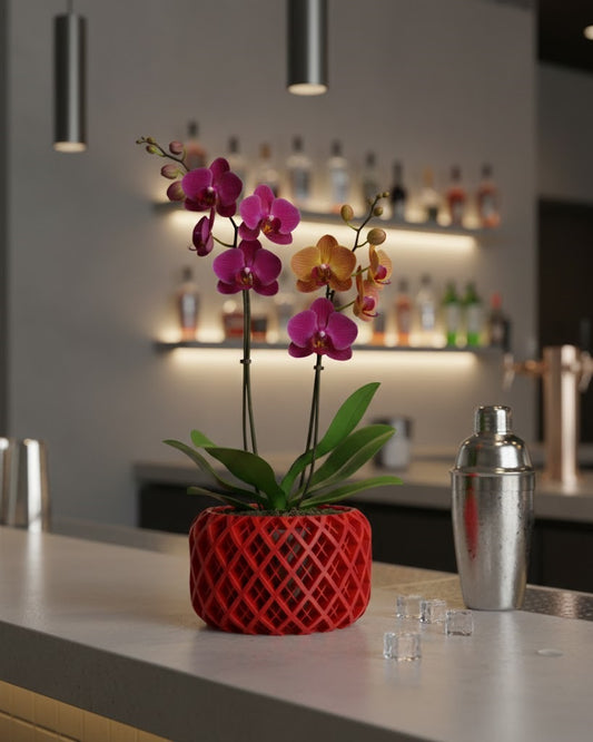Noro 3D Orchideen-Pflanztopf – Luftig, kunstvoll, außergewöhnlich
