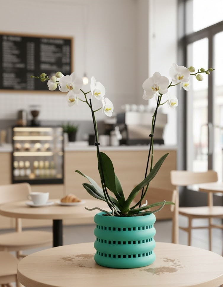 Ulra Pflanztopf – Funktionaler 3D-Orchideentopf mit umlaufender Belüftung und Ablauföffnung
