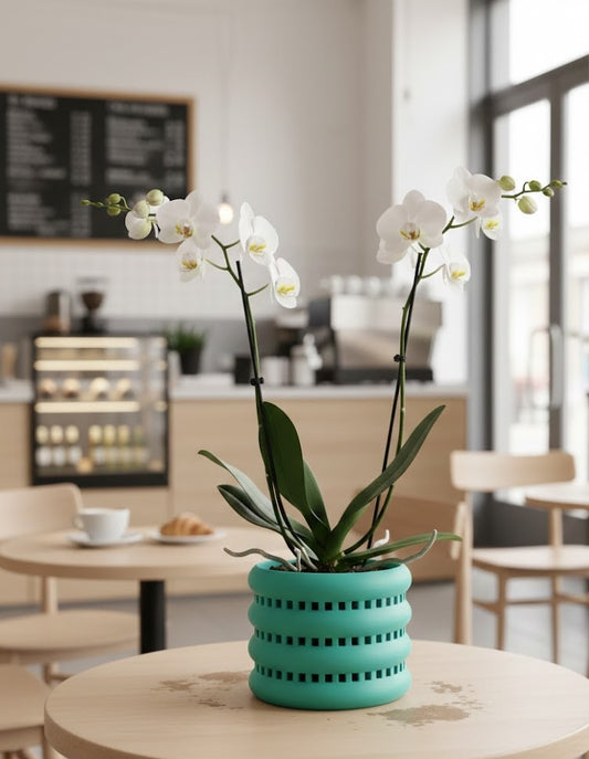 Ulra Pflanztopf – Funktionaler 3D-Orchideentopf mit umlaufender Belüftung und Ablauföffnung