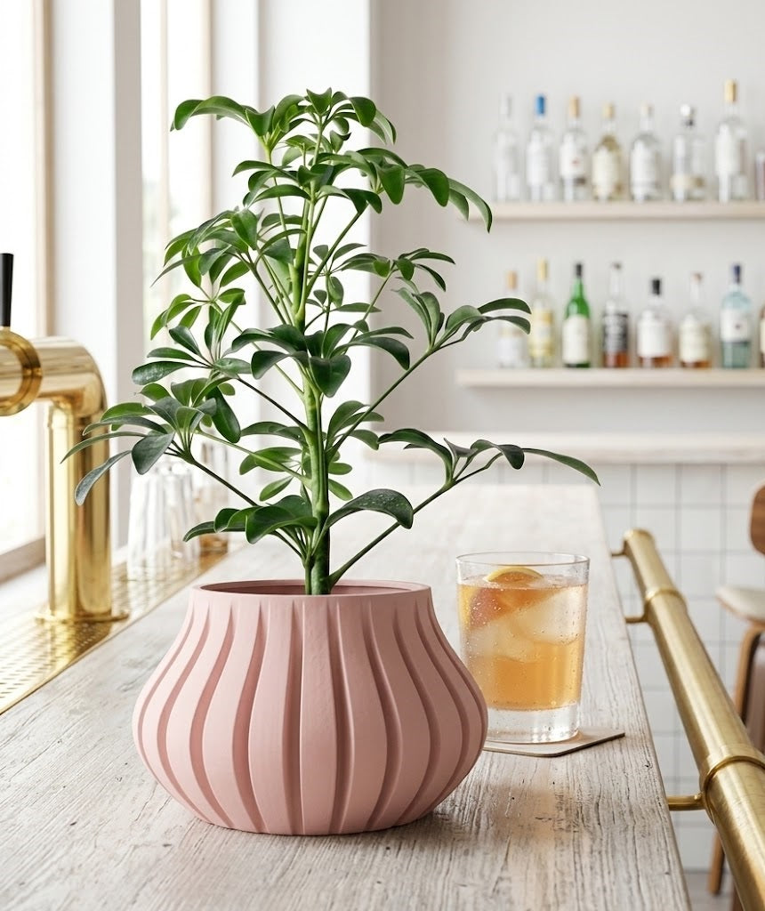 Toril Pflanztopf – Fließendes Design in perfekter Form