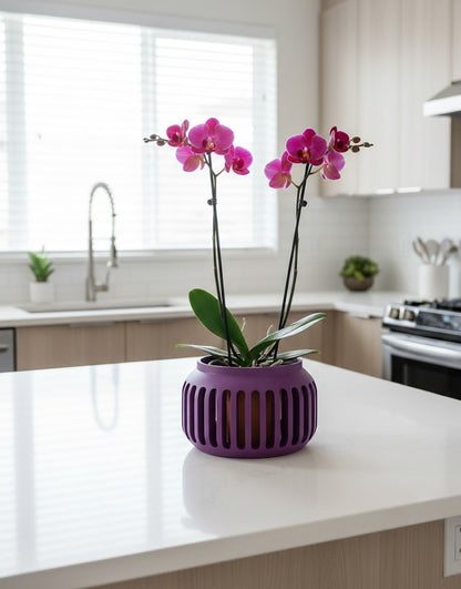 Noxa Pflanztopf – Zeitloser 3D-Orchideentopf mit ovalen Lüftungsschlitzen und Abtropfschale