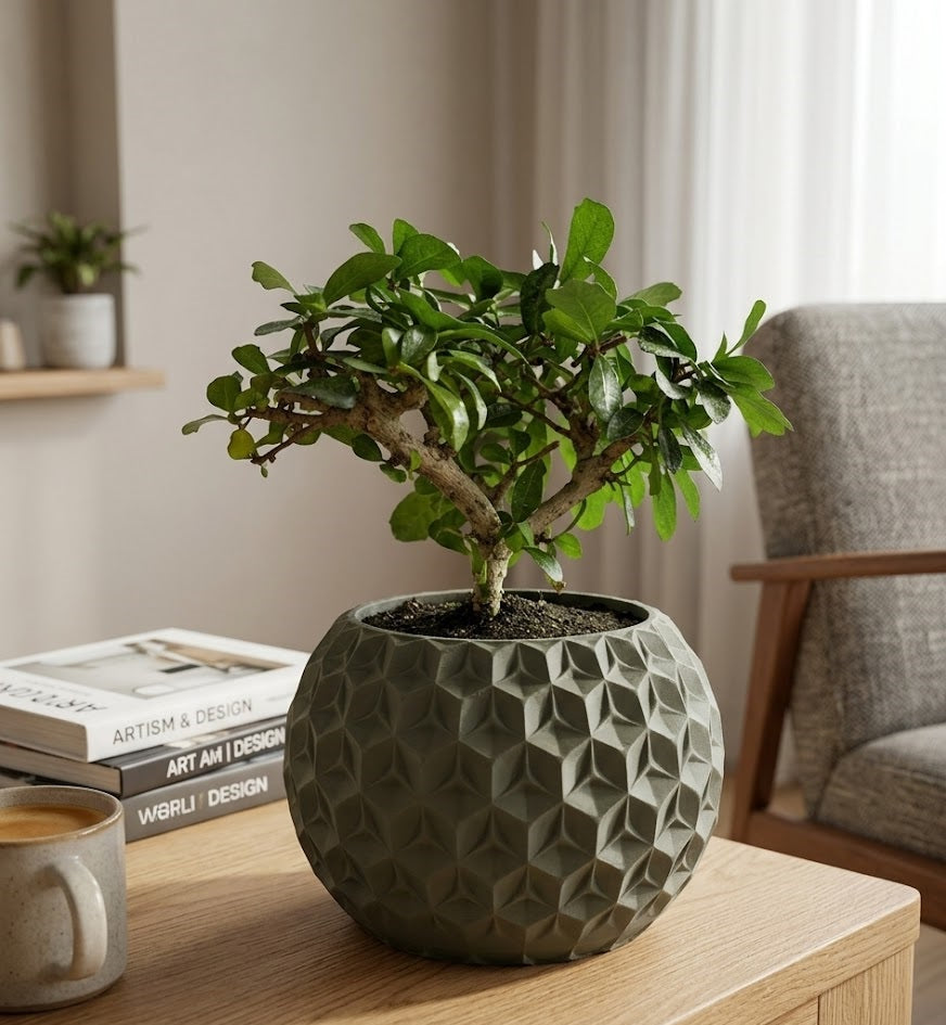 Trihex Pflanztopf – Geometrische Tiefe in 3D-Perfektion