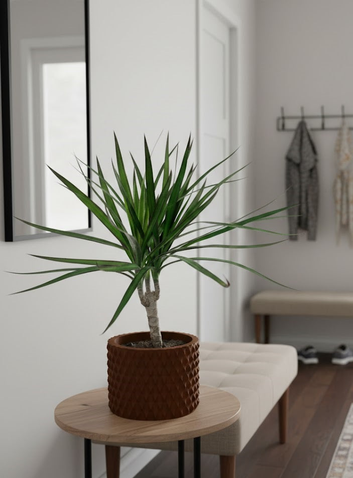 Ondir Pflanztopf – Struktur trifft Stil