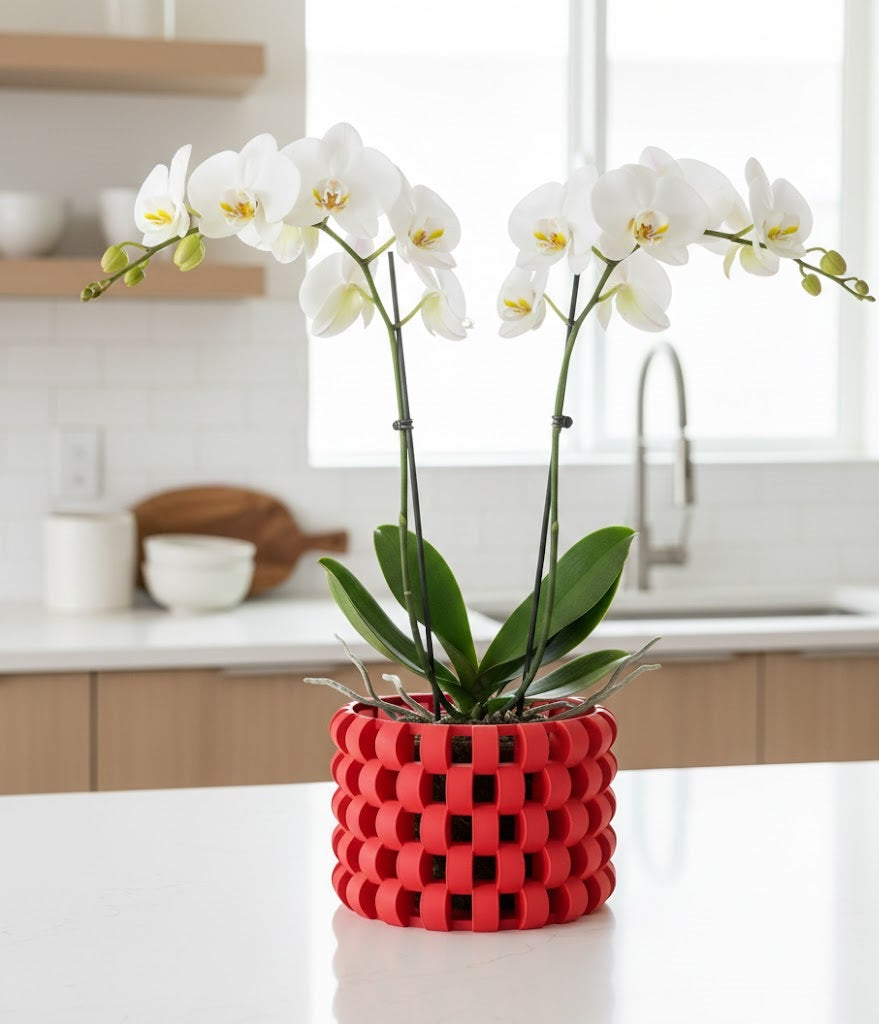 Sinol Pflanztopf – Luftiger 3D-Orchideentopf im geflochtenen Gitterdesign
