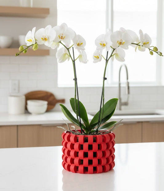 Sinol Pflanztopf – Luftiger 3D-Orchideentopf im geflochtenen Gitterdesign