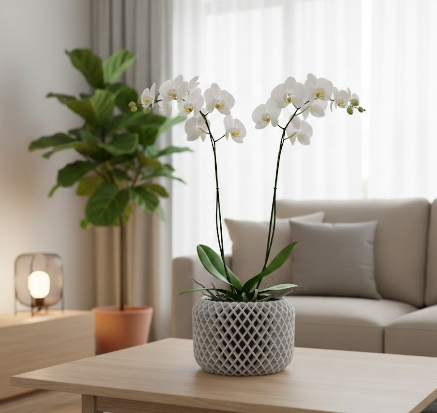 Ravik Pflanztopf – Technisch inspirierter 3D-Orchideentopf mit Mesh-Struktur