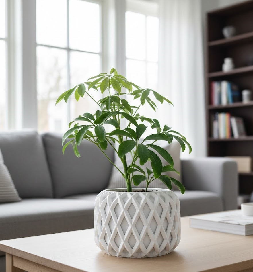 Kinao Pflanztopf – Kunstvolle Geometrie in Perfektion