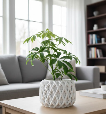 Kinao Pflanztopf – Kunstvolle Geometrie in Perfektion