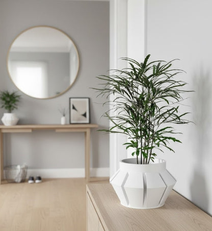 Erno 3D Pflanztopf – Geometrische Klarheit in innovativer Form