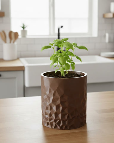 Voronoi Pflanztopf – Geometrische Perfektion im 3D-Design